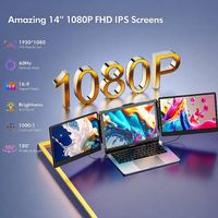 S2 Triple Monitor Bildschirm-Extender