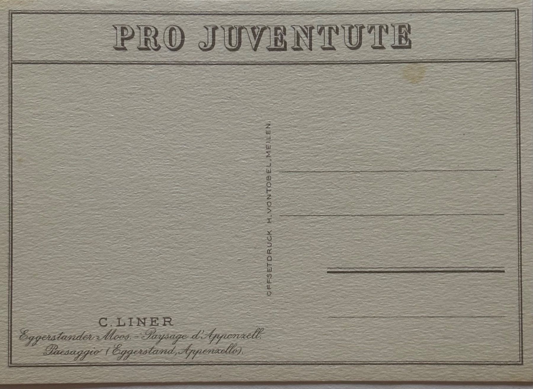 Cartoline postali: Carl Liner Appenzell, Pro Juventute – Usato da Frauenfeld venduto da Merk52 1