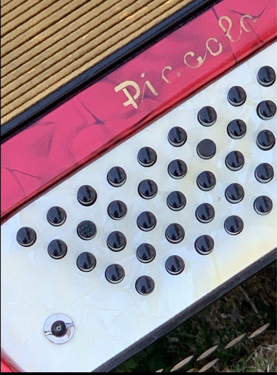 Hohner Strumenti musicali: Akkordeon HOHNER „Piccolo“ – Usato da Wangen b. Olten venduto da Finolino28 8