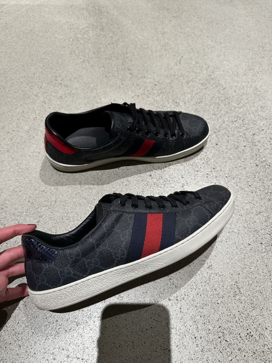 Scarpe da uomo: Gucci Ace Sneaker Gr. 42,5 – Usato da Birsfelden venduto da ant_ys8y 1