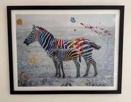 Zebra Fotographie von Arno Elias eingerahmt 70cm x 90 cm