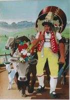 APPENZELLER SENN ALPAUFZUG 1940 Original Plakat