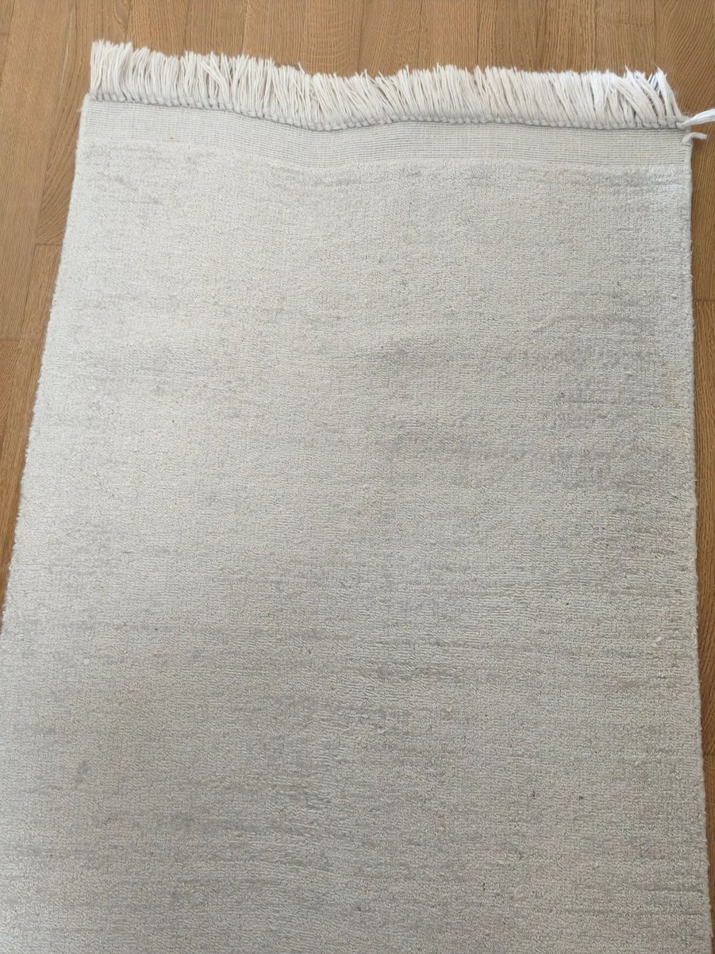 Tappeti: Benuta Läufer Teppich "Pure" (Jade Hellgrau) – Usato da Niederrohrdorf venduto da yan_zkz6 1