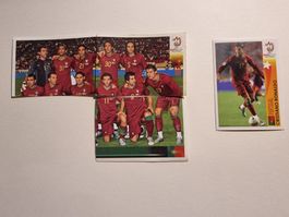 panini em 2008 CR7 #509 und team bilder