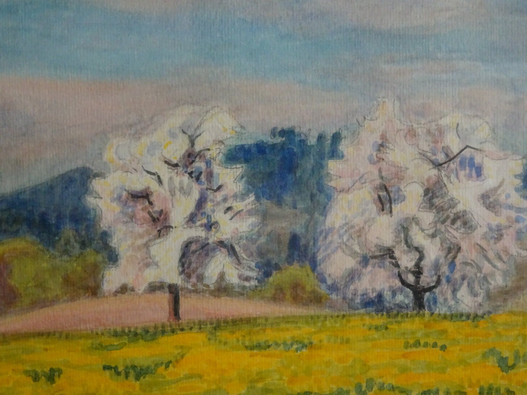Dipinti: ** Bruno Hesse Aquarell ** Bild Gemälde schweizer Kunst – Usato da Goldswil b. Interlaken venduto da troedlermarkt-goldsw 3