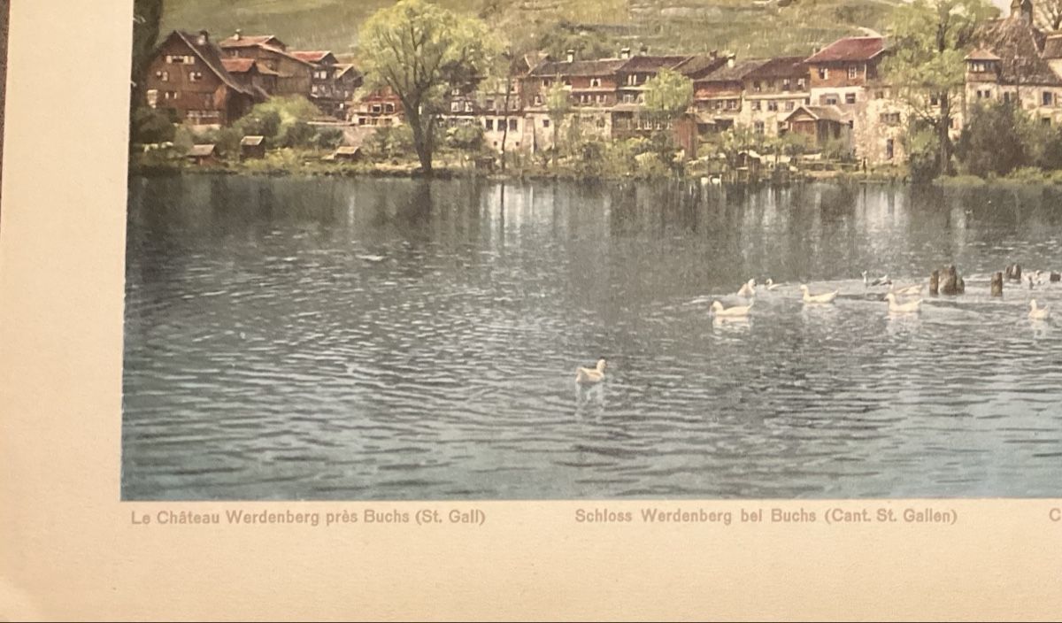Foto & Immagini: Schloss Werdenberg – Usato da Reinach BL venduto da Linda013 3