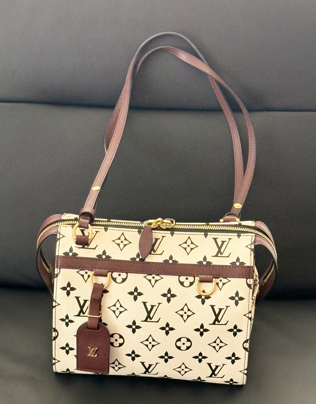 Louis Vuitton Borse da donna: Louis Vuitton Speedy Amazon PM – Usato da Reinach AG venduto da RobbisB 4