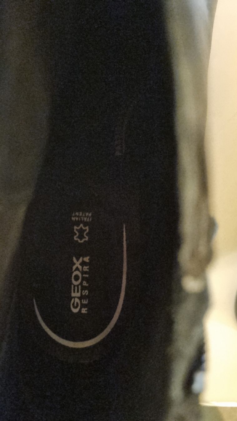 Geox Scarpe da donna: Bottines Geox nerves 40 – Nuovo (secondo la descrizione) da Bévilard venduto da AnnCHUK 2