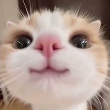 Profile image of mim_bqf7