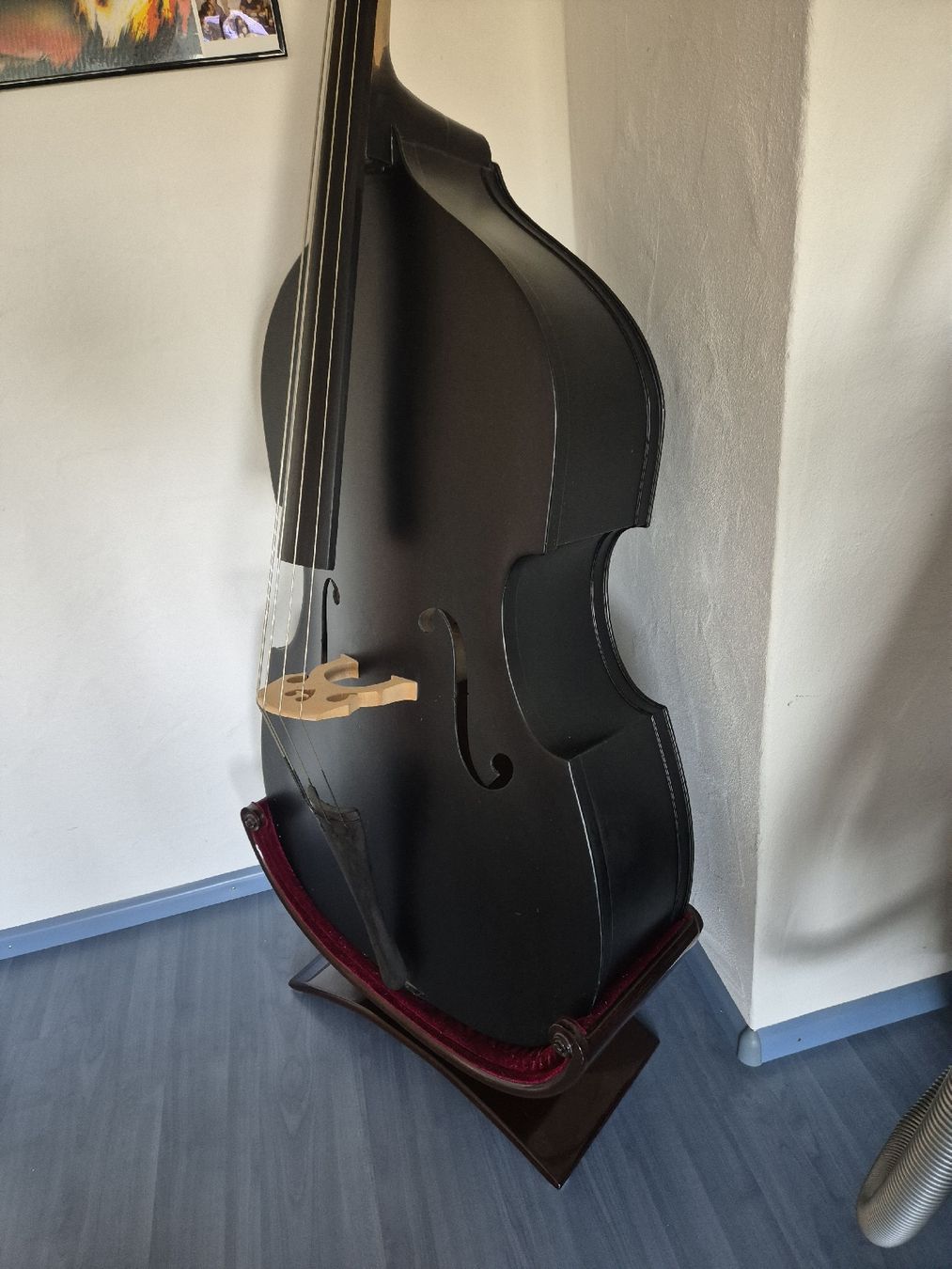 Thomann Musikinstrumente: Thomann kontrabass 111e 3/4  – Gebraucht aus Dielsdorf von 7TheRockDoc9 1