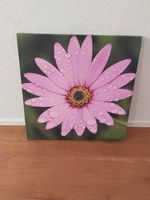 Bild Blume 60x60 cm