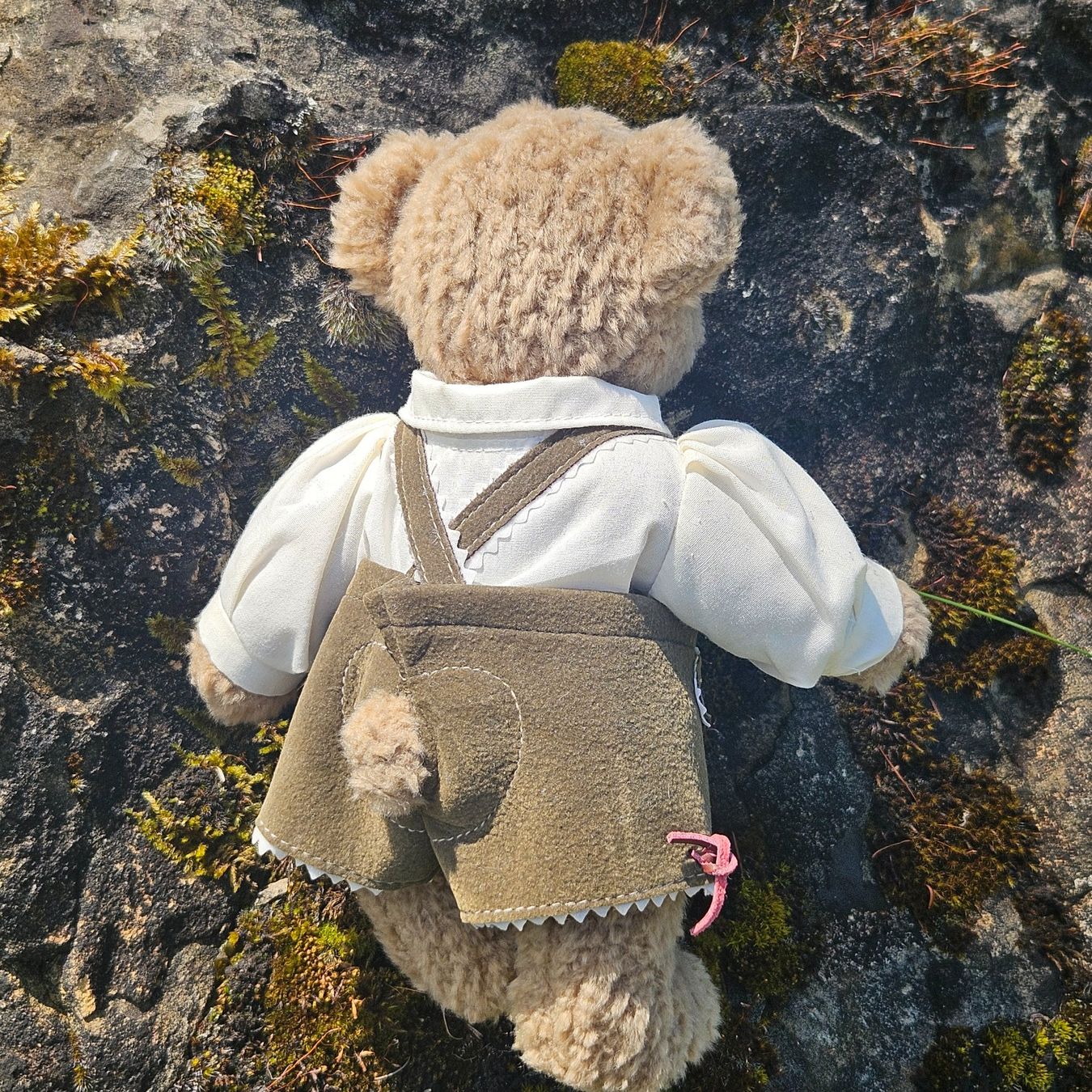 Giocattoli: Teddybär – Nuovo (secondo la descrizione) da Uster venduto da Sonnenblume212 5