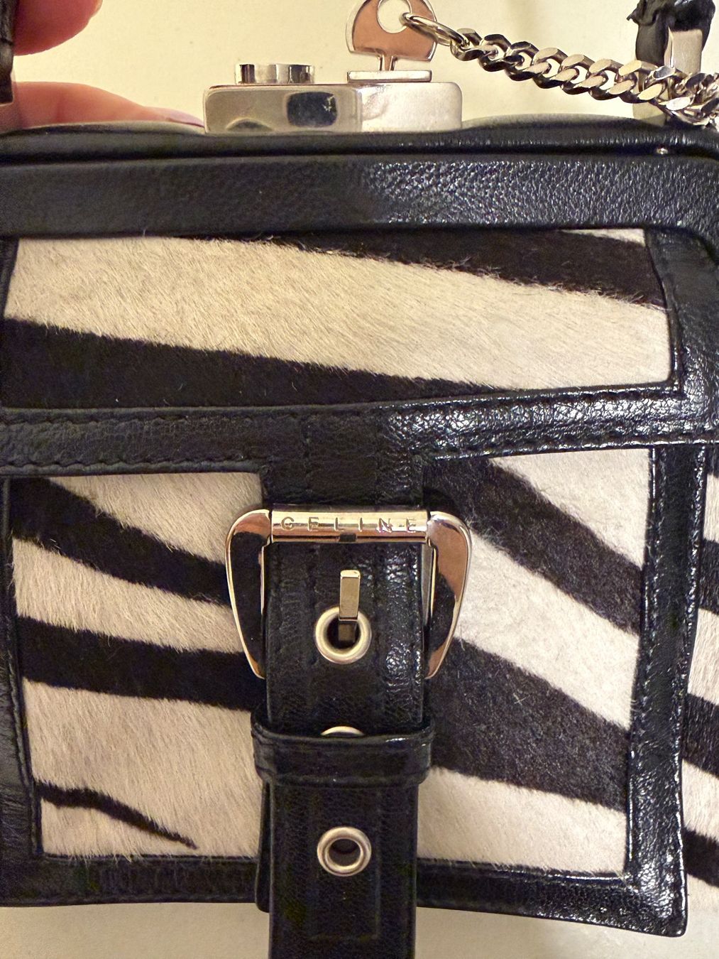 Celine Borse da donna: Celine Zebra Print Bag – Usato da Birr venduto da WalkyriaM 6
