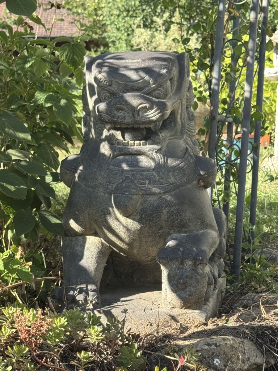 Sculptures & Statues: Fu Hunde Tempelwächter – D'occasion à Besenbüren par Anroni