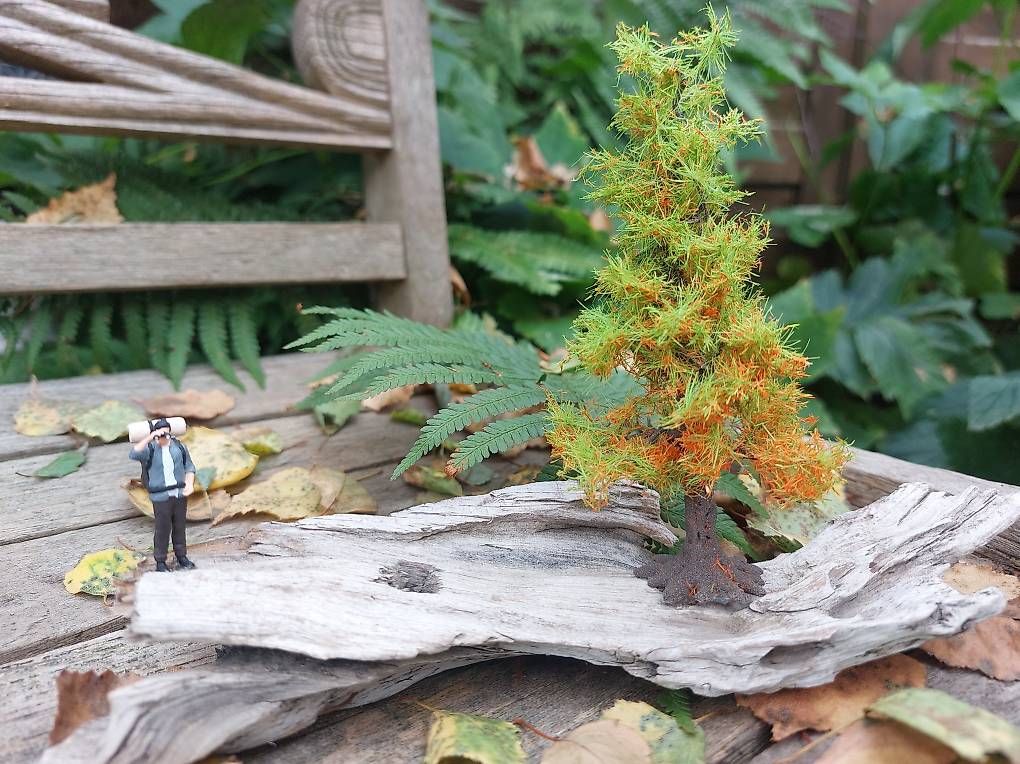 Modellbausätze & Standmodelle: Wildnis Kanadas – Gebraucht aus Weinfelden von Mustang422 2