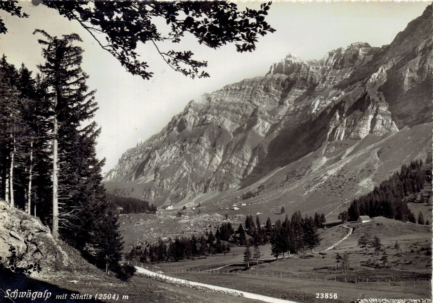 Cartes postales: Schwägalp, um 1950 – D'occasion à Otelfingen par Schmitte9