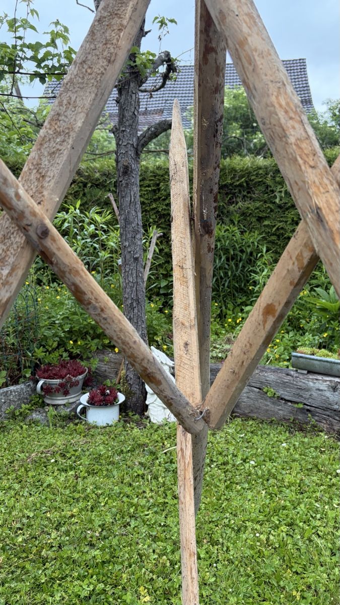 Altre Decorazioni per giardino: Holzheinze/Rankhilfe – Nuovo (secondo la descrizione) da Arisdorf venduto da Lerpi 2