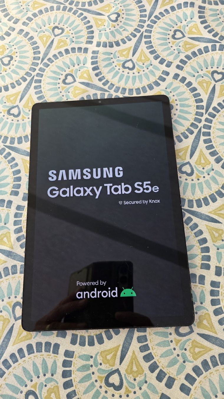 Samsung Tablet PC: Galaxy Tablet S5e, gold – Usato da Schwerzenbach venduto da tinumartinez