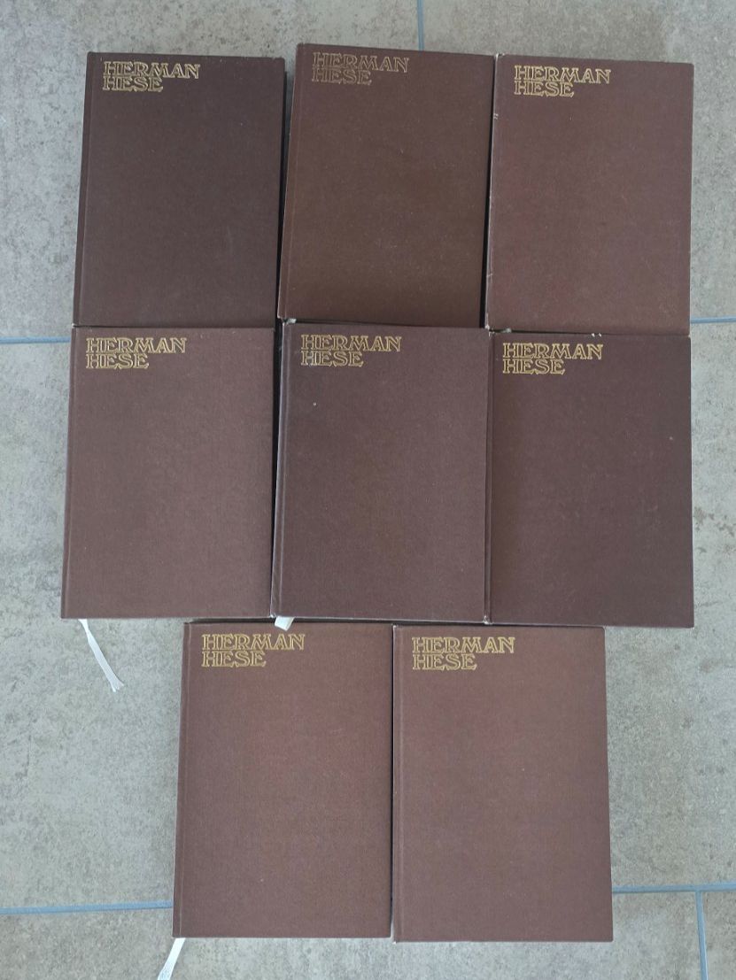 Libri: Herman Hese auf Serbisch Srpski – Usato da Heerbrugg venduto da Lulu022020