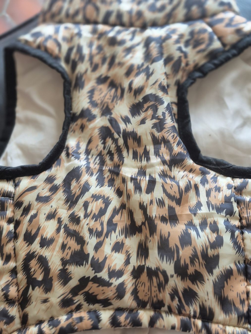 Abbigliamento: Veste pour chien  – Usato da bremblens venduto da kittenob 1