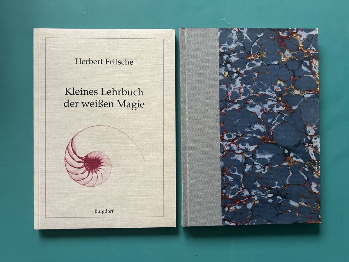 Libri: Zwei Bücher von Herbert Fritsche – Usato da Himmelried venduto da rasmus67