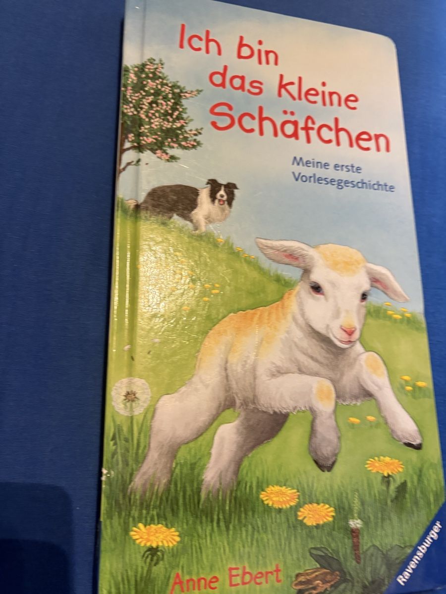 Libri: BUCH das kleine schäfchen – Usato da Herzogenbuchsee venduto da warrior77 1