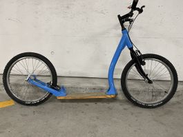 Trottinett