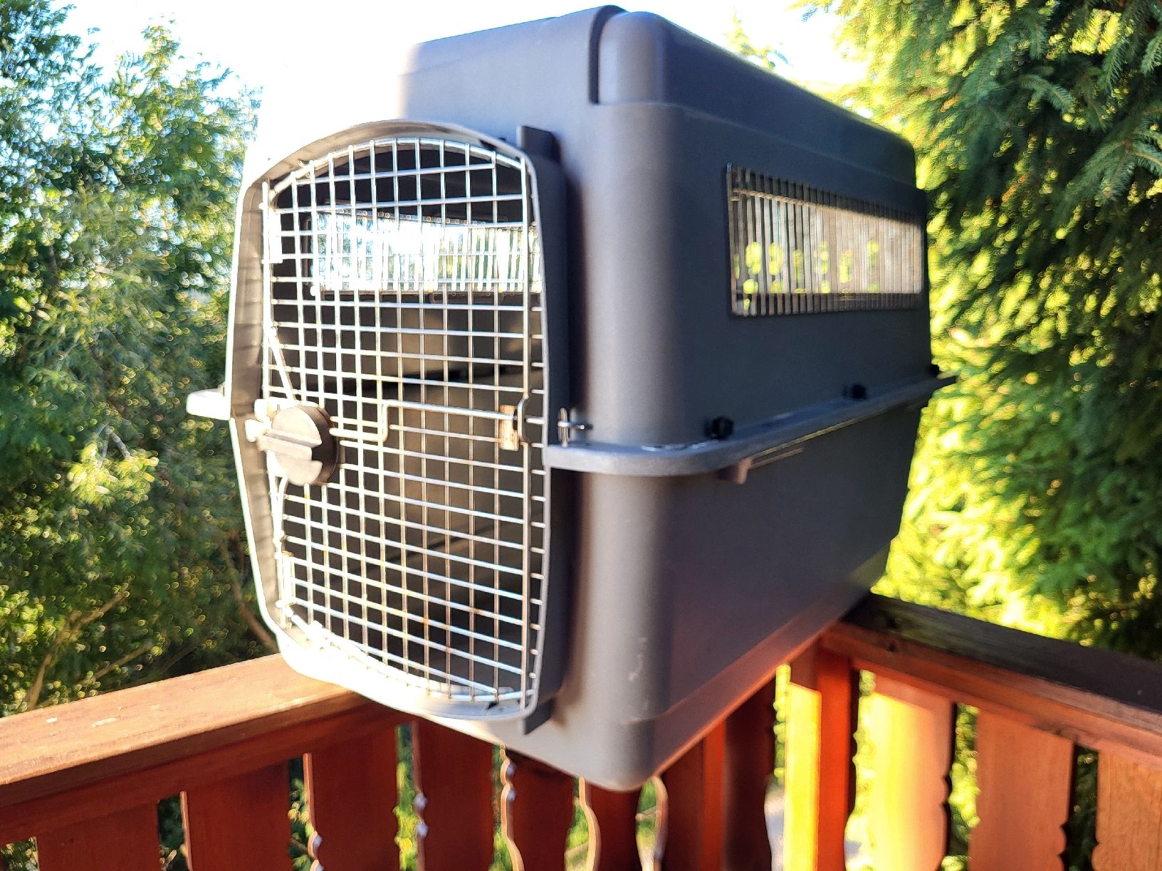 Gabbie, trasporto & Sicurezza: Hundebox  – Usato da Glovelier venduto da Spitzegugger