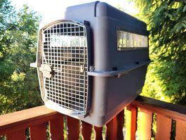 Hundebox 