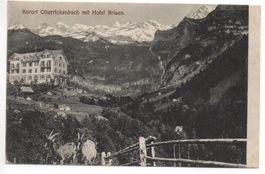OBERRICKENBACH mit Hotel Brisen, Ziegen
