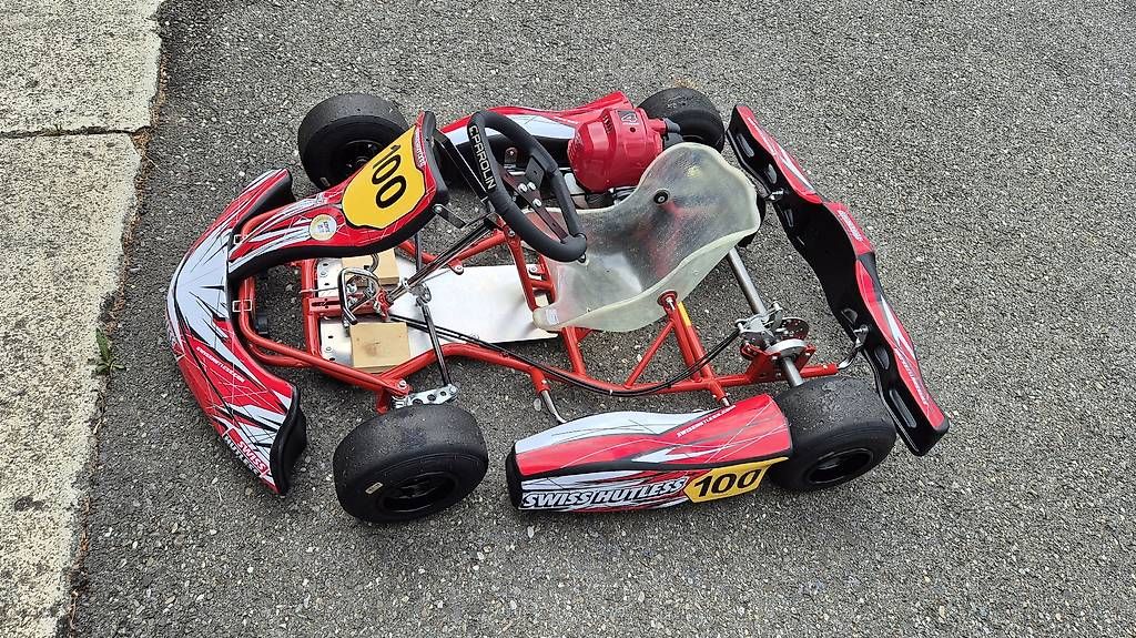 Go-Kart: Kart Puffo, Bambini, Delfino – Usato da Oberstocken venduto da jaspet 4