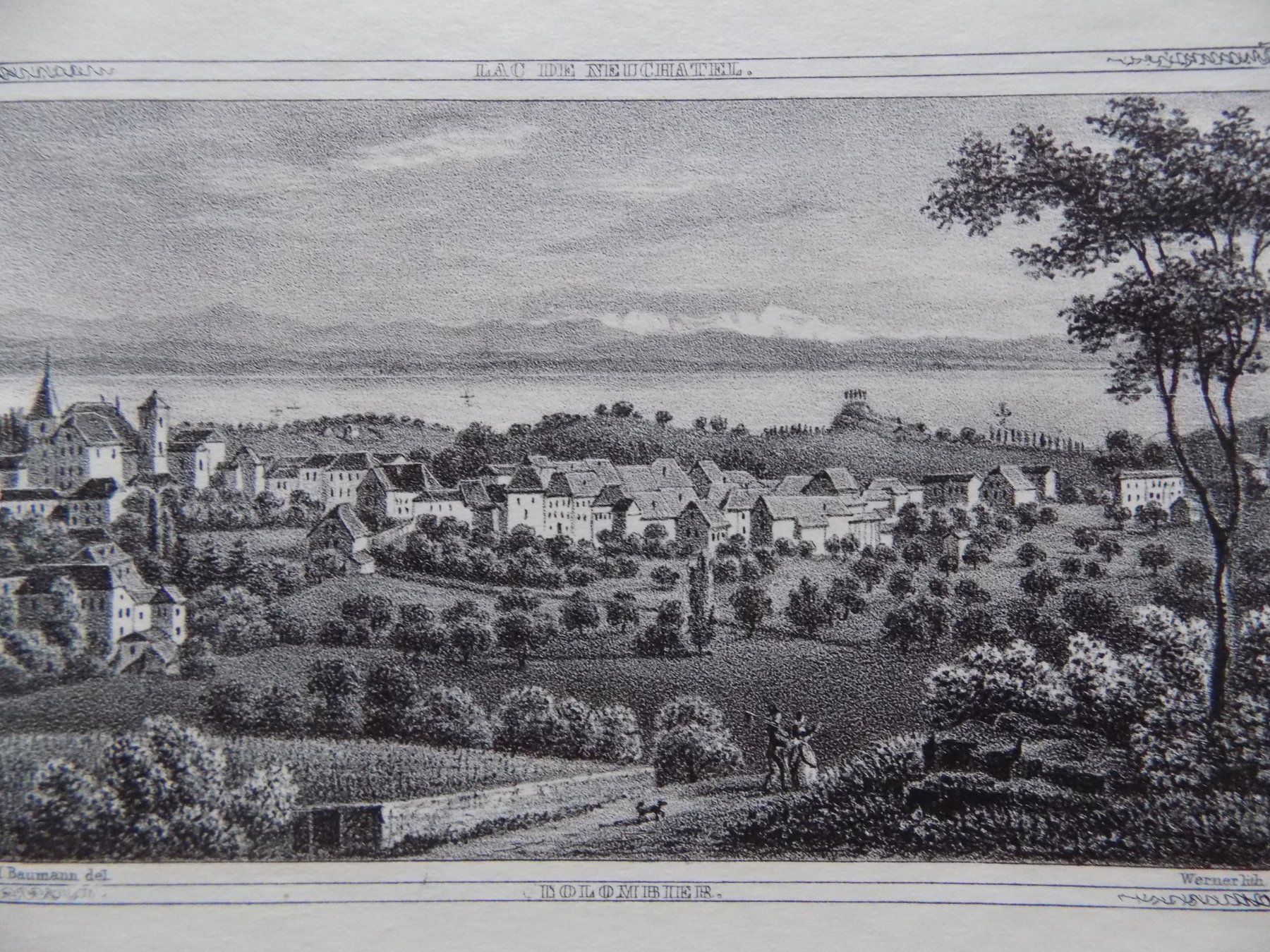 Incisioni: Colombier Lithographie um 1855 – Usato da Risch venduto da Antikfee 2