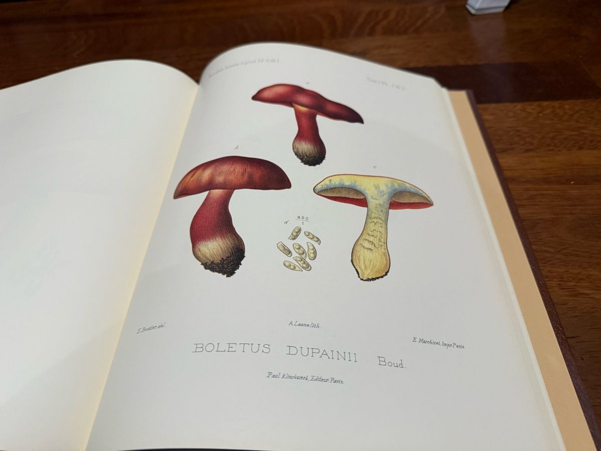 Libri: Iconographie des Champignons Boudier 5 Vol. – Nuovo (secondo la descrizione) da Montreux venduto da kingfisherbeach 6