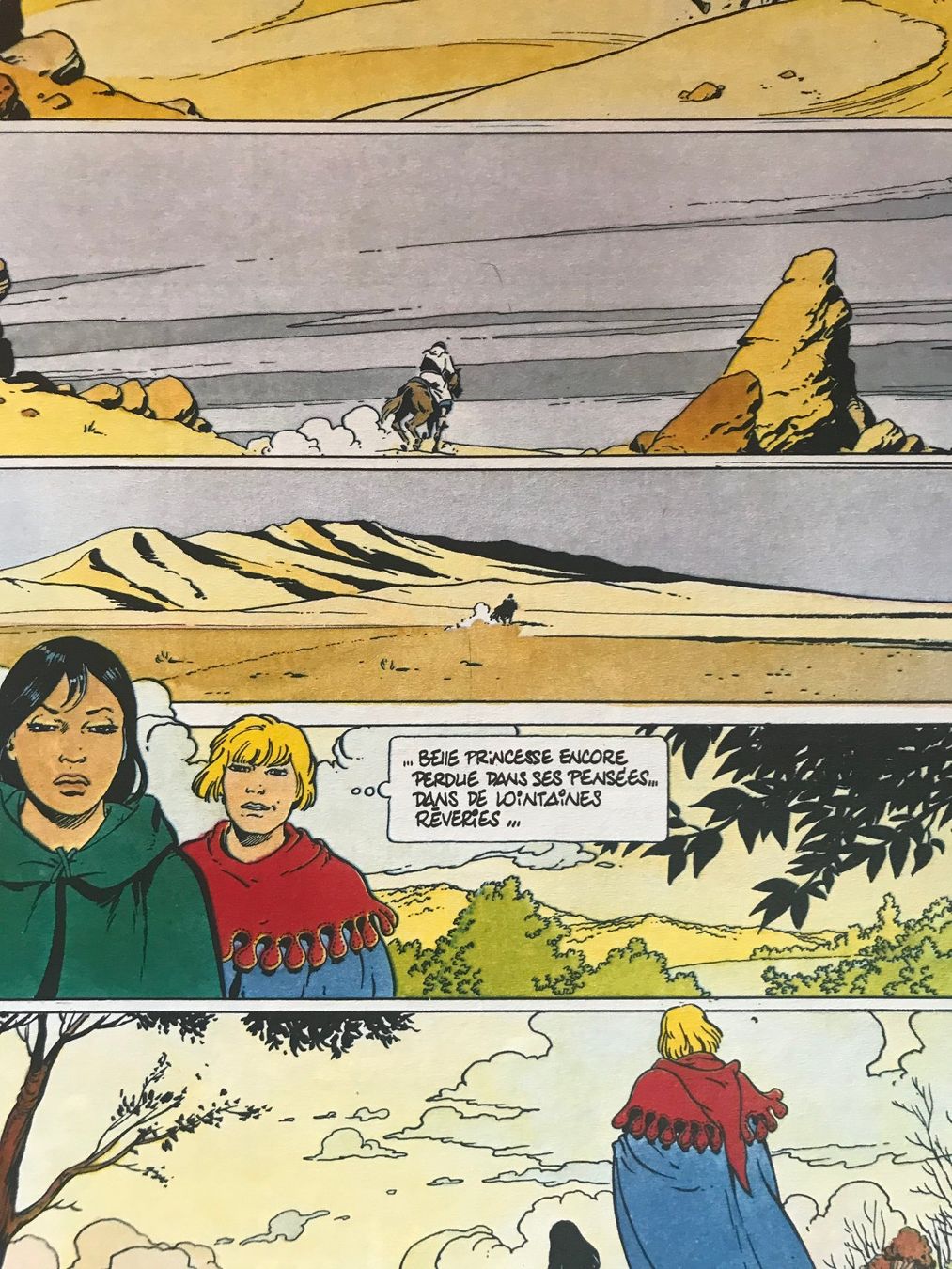 Fumetti: Brunelle & Colin - Le félon – Usato da Commugny venduto da Alexnicolas11 3