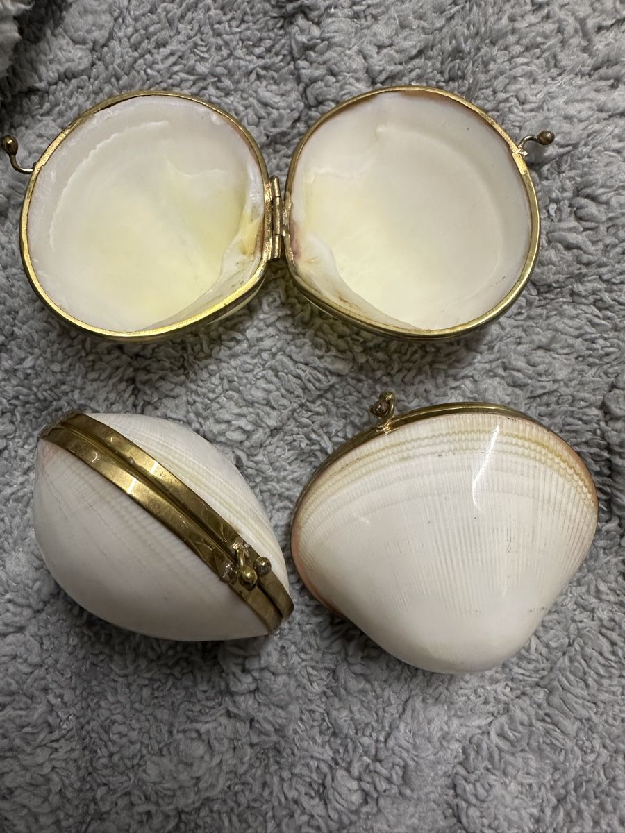 Tutte le decorazioni: Antike Pillendose Muscheln  – Usato da Oberentfelden venduto da vilibrand