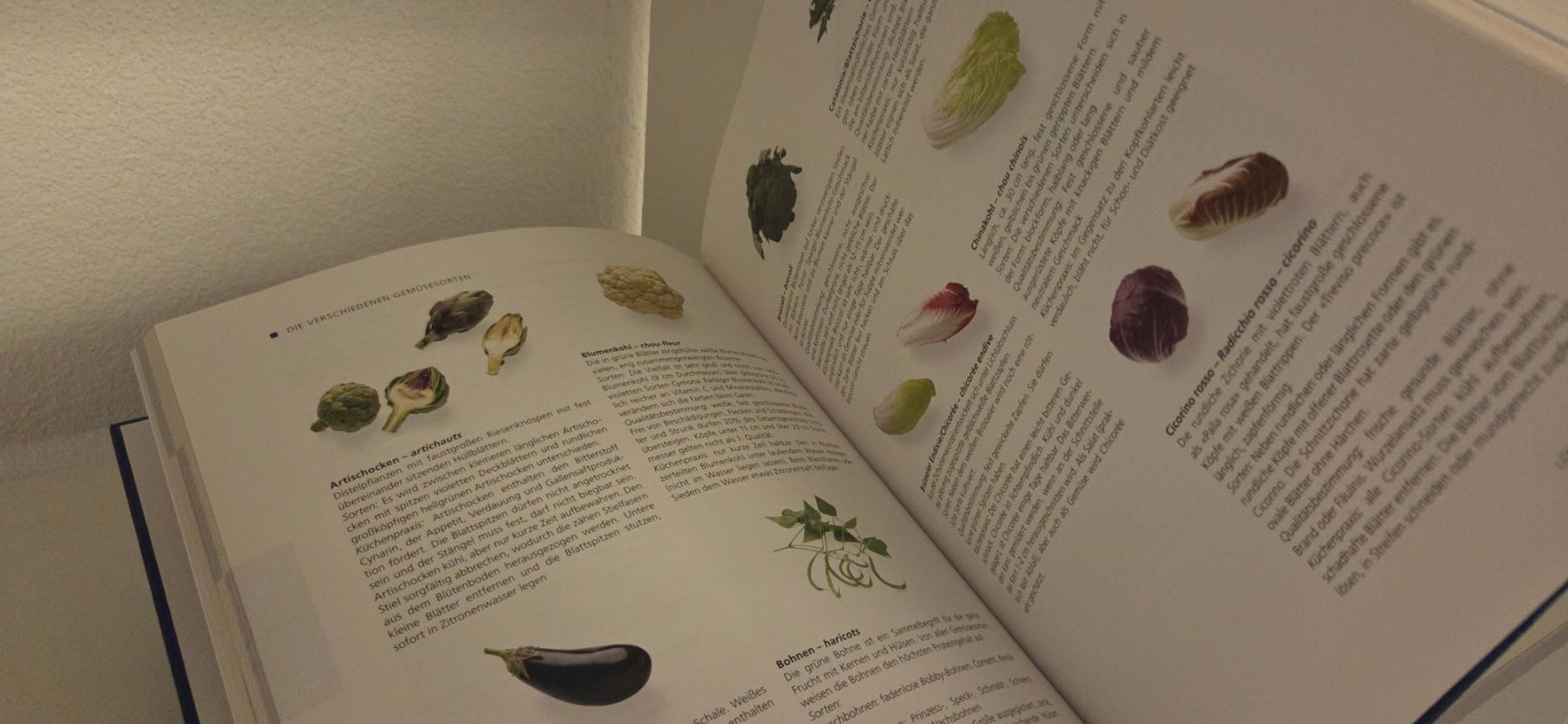 Bücher: Buch:  Pauli Lehrbuch der Küche – Gebraucht aus Bremgarten b. Bern von Marge7979 4