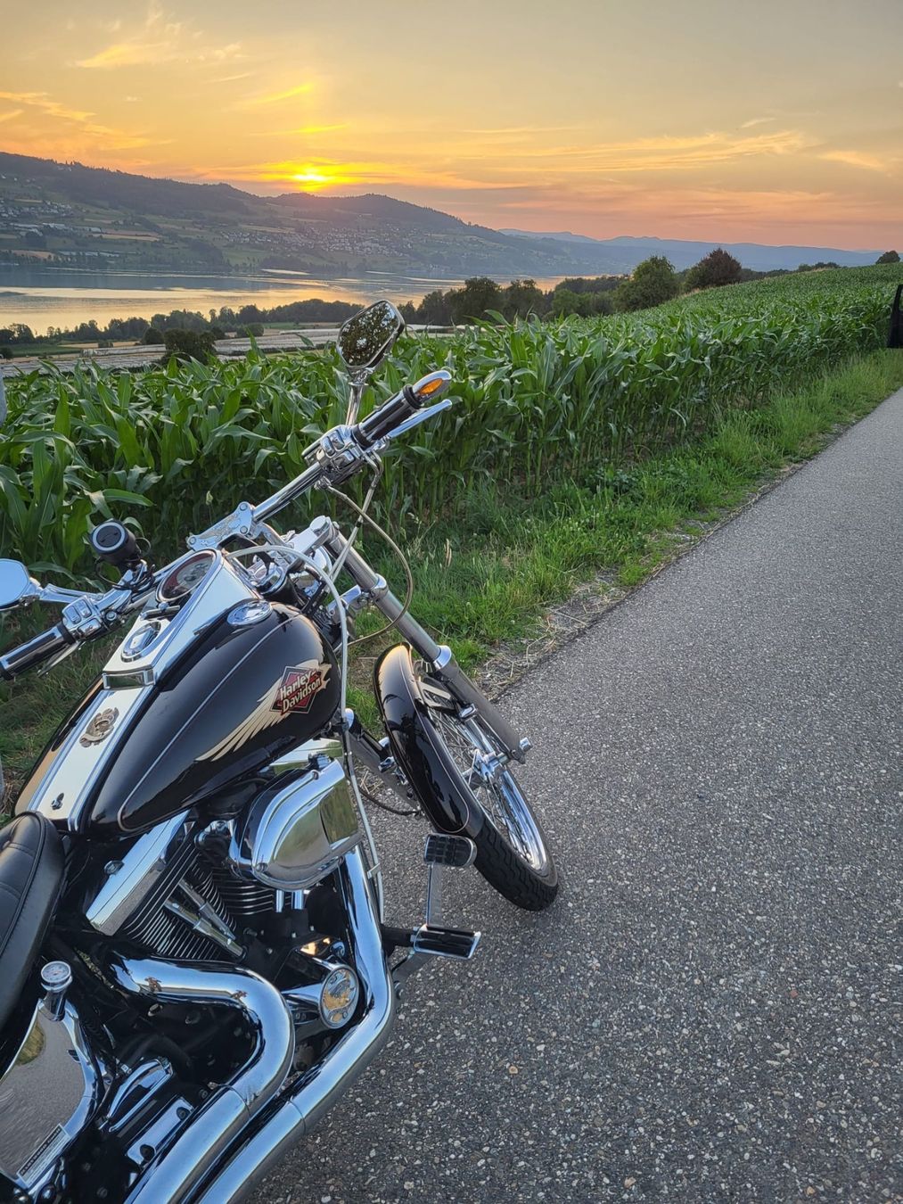 Harley-Davidson Chopper: Harley Davidson softail Fxstc – Usato da Adliswil venduto da Robiiiin 3