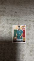 Panini Sticker Raúl Jiménez Mexico guter Zustand