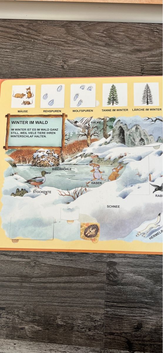 Libri: Der Wald mit 60 Klappen – Usato da Langnau am Albis venduto da dodi83 2