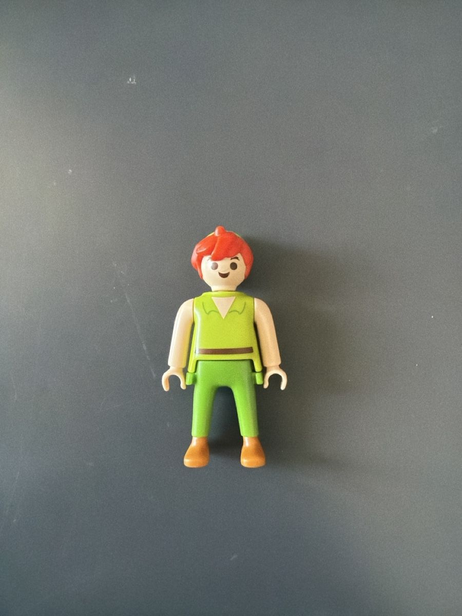 Playmobil Giocattoli: Disney Playmobil Peter Pan – Usato da Urtenen-Schönbühl venduto da LaPriinciipessa