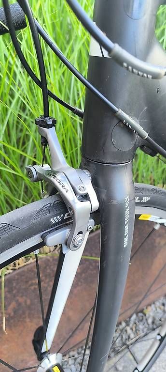 Biciclette: Canyon Ultimate – Usato da Kreuzlingen venduto da loc_5dbf 3