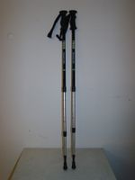 Trekkingstöcke TRGS Trekking EQPT T125 schwarz silber