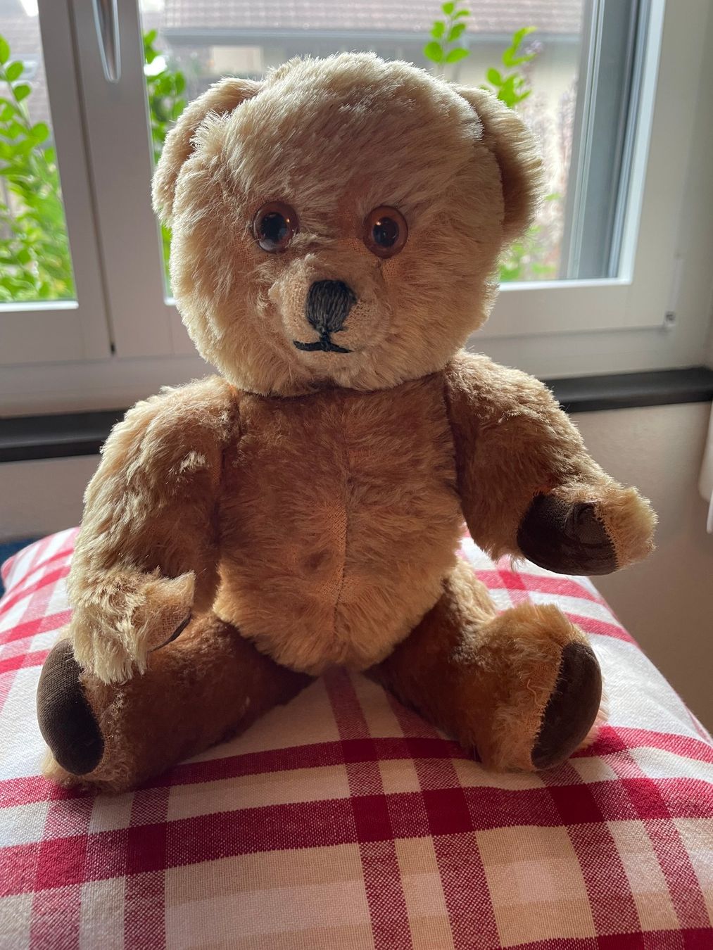 Giocattoli: Sehr gut erhaltener Teddybär mit drehbarem Kopf – Usato da Hausen am Albis venduto da Werk3 2