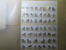 Vögel Belgien grosse Sammlung ** mit Mi-Nr. Liste, alles abg