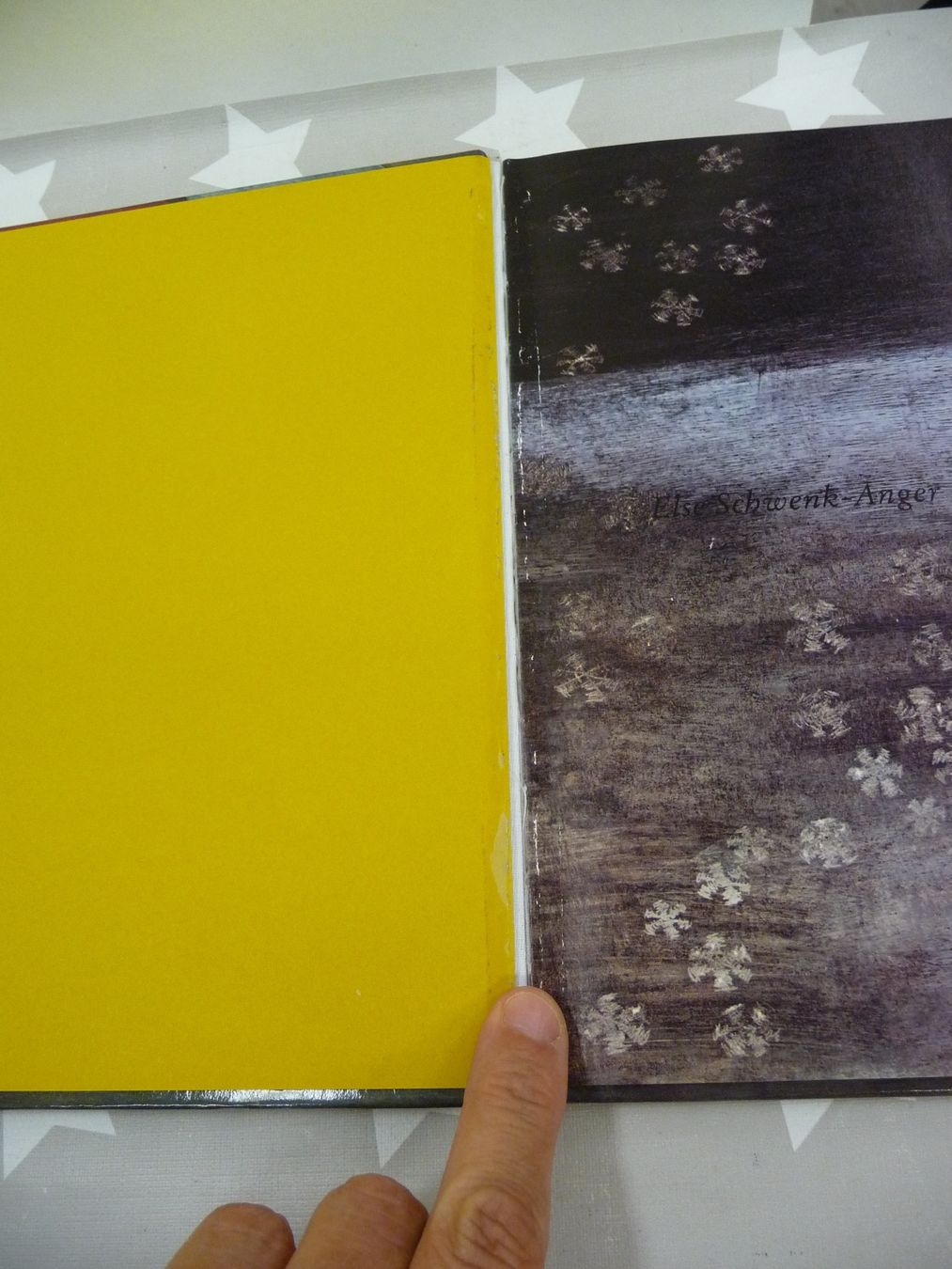 Libri: Buch: Eine Wundersame Nacht Else Schwenk-Anger – Usato da Rafz venduto da Powacaddy 4
