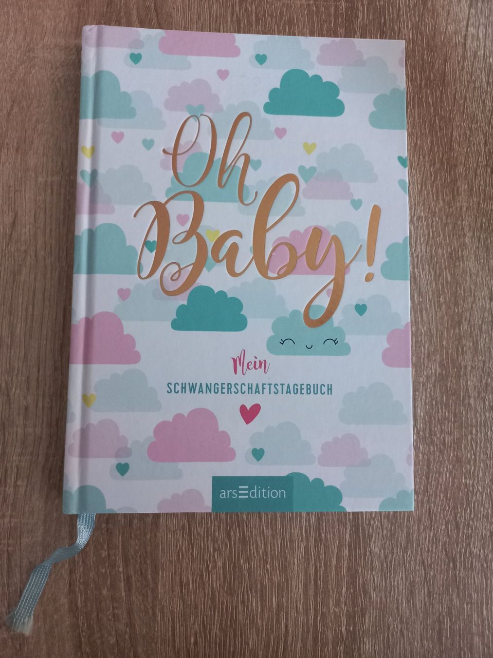 Libri: NEU! Schwangerschaftstagebuch mit Wochendetails – Nuovo (secondo la descrizione) da Arbon venduto da rispi89