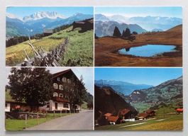 Hof de Planis, Stels