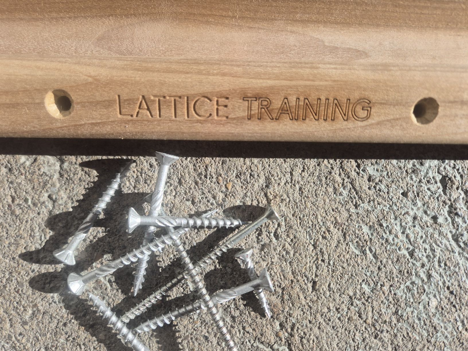 Lattice Rung Hangboard mit Endcaps (D'occasion) à Wolfhausen pour CHF ...