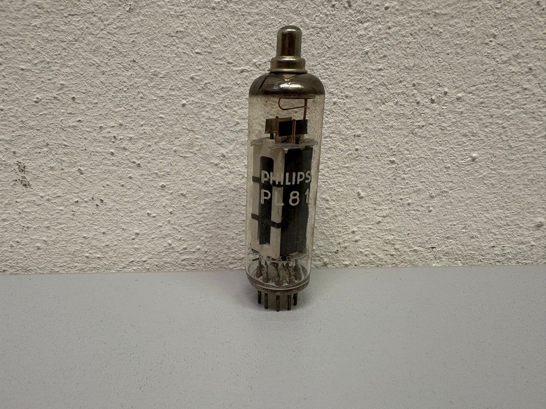 Philips Componenti elettronici: Philips PL 81 – Nuovo (secondo la descrizione) da Hochdorf venduto da av-electronics 1