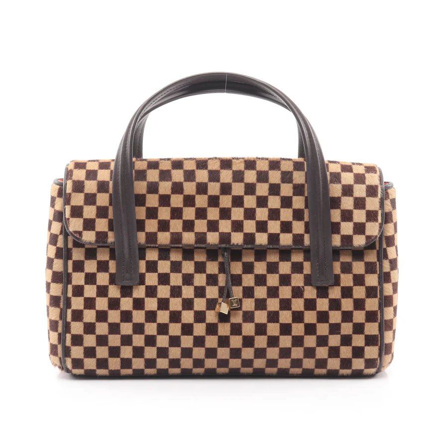 Louis Vuitton Borse da donna: LV Lion Damier Sauvage Handbag – Usato da Chamoson venduto da Sapoloshop